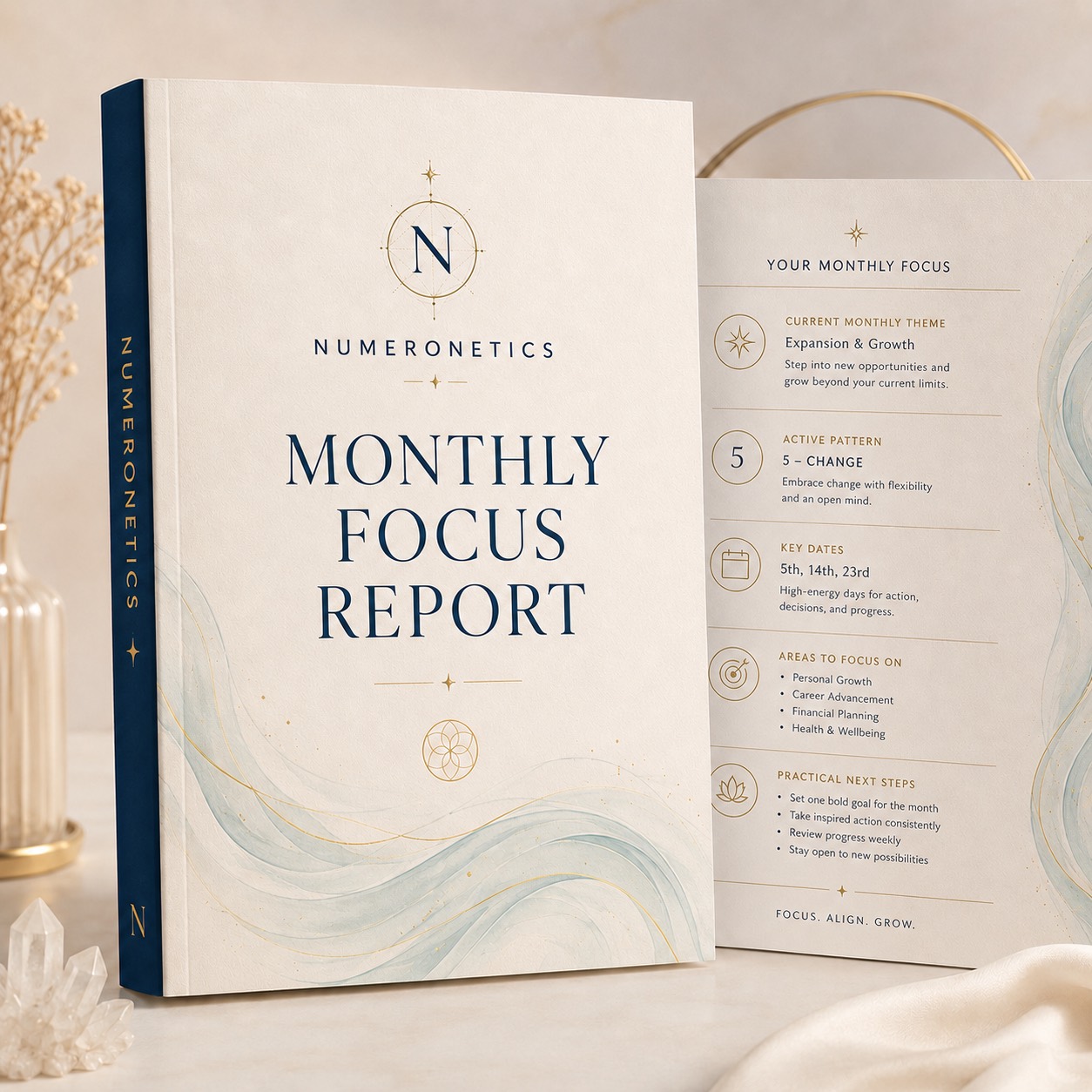 NUMERONETICS Monthly Focus Report presentation